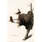 Posterazzi House Wren Poster Print by John James Audubon 53664